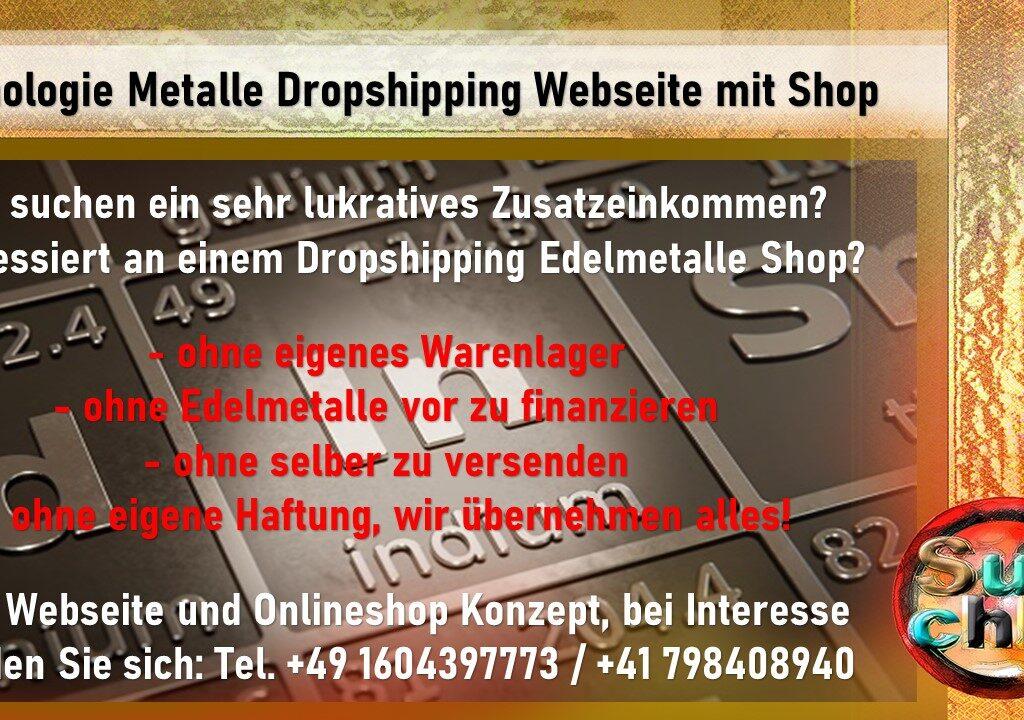 Dropshhipping-Webseite-Shop-Bild-1