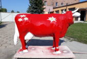 Edelweiß von der Alm  > Kuh lebensgroß / Hauseigenes 3D Modell des Unternehmens Deko mit Pfiff International / Tel. 0049 33767 30 750