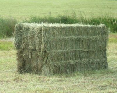 Balle-matelas-foin-50X80X220-1024×757-1