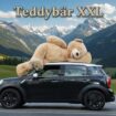 🧸 Teddybär 260 cm XXL Kuschelbär Plüschtier Geschenk