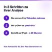 Webseiten-Analyse: was verschenkt Ihre Website an Umsatz?
