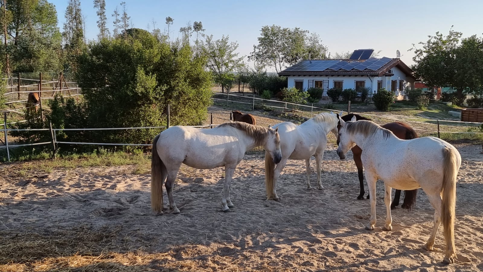 Komfortables Wohnhaus langfristig zu vermieten in Andalusien / Almonte