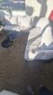 Lounge mit 2 Tisch